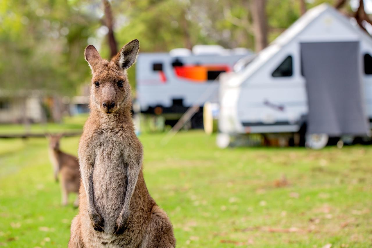 Tasman Holiday Parks - Kioloa Beach ภายนอก รูปภาพ